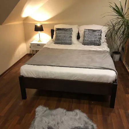 Villa Luxhouse - 7 Min From Katowice *