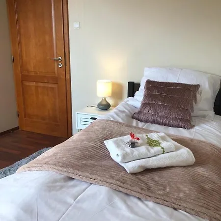 Villa Luxhouse - 7 Min From Katowice